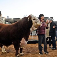 La expo rural, punto de encuentro para las familias en estas vacaciones de invierno: qué se puede hacer