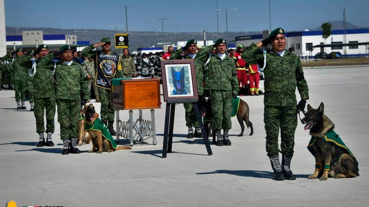 El homenaje a Proteo