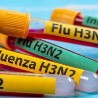 Perú declaró alerta y Bolivia con vigilancia sanitaria por primeros casos sospechosos de influenza A