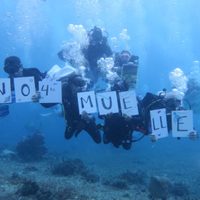 Protestan en el fondo del mar contra la construcción del Cuarto Muelle en Cozumel