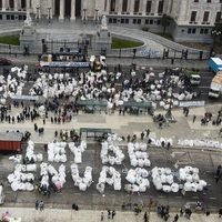 Ley de Envases: en qué situación se encuentra el proyecto