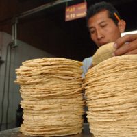 No se justifica aumentar el precio de la tortilla: Economía