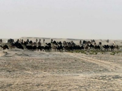 La riesgosa (y absurda) escalada saudita contra Qatar