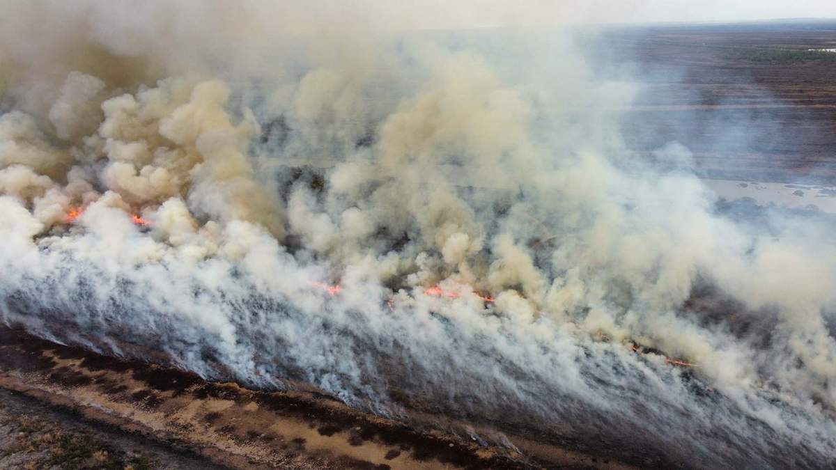 Incendios en el Delta del Paraná. Fuente: (Twitter)
