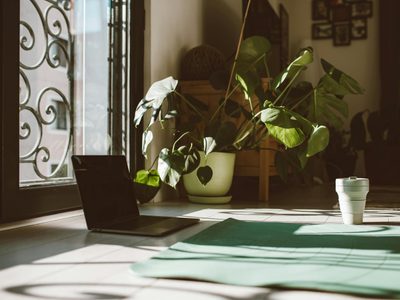 Plantas de interior que florecen hasta cuatro meses y son fáciles de cuidar: ideales para espacios chicos