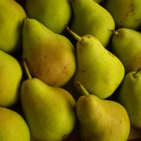 Espumita de peras: mirá cómo preparar este postre, re cremoso y delicioso