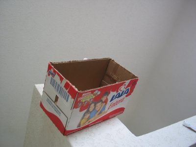 No tires los envases de cartón vacíos: hacé este proyecto estilo Pinterest, ideal para vender o regalar