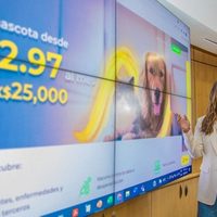 Nunca fue más fácil contratar un seguro