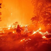 Récord de incendios en California: "Es un desastre sin precedentes"