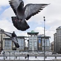 Rusia expulsa a 6 diplomáticos británicos acusados de espionaje y "actividades subversivas"