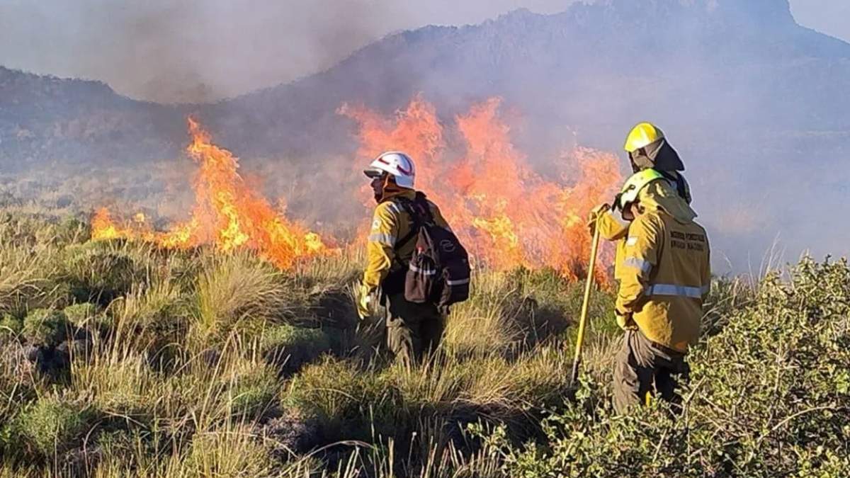 La afectación por los incendios en Chile alcanzan a las 20 mil hectáreas. Fuente: (Gobierno de Neuquén)