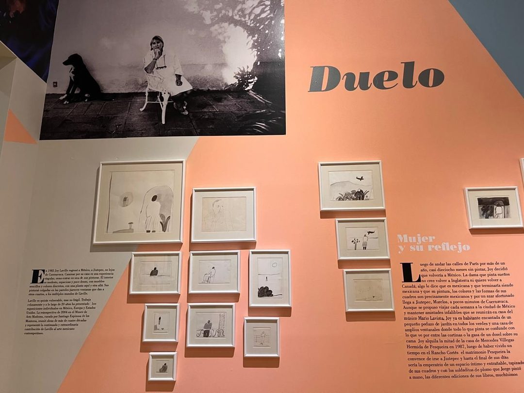 Duelo dibujos Foto Especial