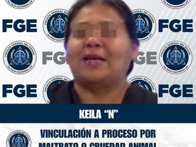 Por crueldad animal, vinculan a proceso a propietaria de albergue para perros en Ensenada