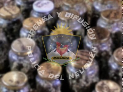 Curioso hallazgo de marihuana en Plottier