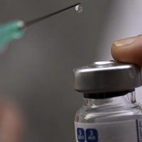 Llegaron más de 860.000 dosis de la vacuna de Oxford AstraZeneca a la Argentina