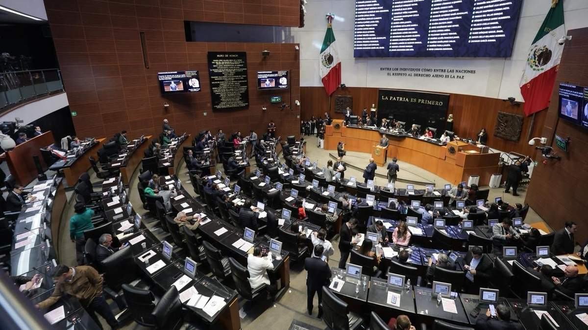 El Pleno de la Cámara de Senadores