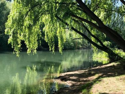 Atención Neuquén capital: ya está inaugurado un nuevo parque en la costa del río