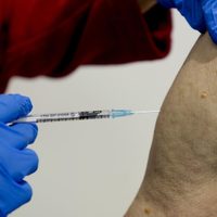 Un hombre se vacunó contra el coronavirus más de 80 veces en Alemania: por qué lo hizo