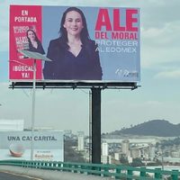 Las normas electorales burladas en el Edomex