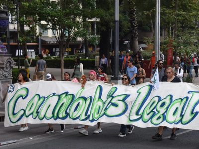 Marchan a favor de la legalización de la mariguana