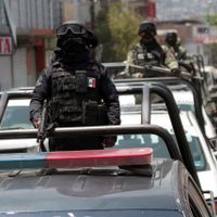 Contra la delincuencia organizada, ni voluntad ni estrategia