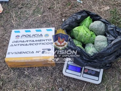 Secuestraron cannabis y un arma de fabricación casera en espacios verdes de cuatro barrios