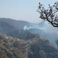 Declaran alerta atmosférica en tres municipios de Jalisco por incendio en Bosque La Primavera