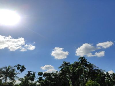 Pronóstico del clima en Amecameca para este jueves 7 de mayo: ambiente templado y cielo despejado