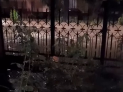 Video: casas inundadas por las obras viales de Las Heras