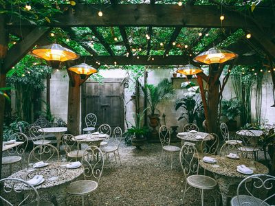 Sombra natural: las tres mejores plantas para tu pérgola