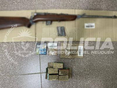 El Huecu: ofrecía armas para la venta en redes sociales y le hallaron restos de animales protegidos