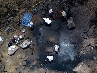 Son restos de perros, no de personas: Fiscalía descarta fosa clandestina entre Iztapalapa y Tláhuac