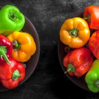 No compres más: no tires las botellas plásticas y cultivá tus propios pimientos de forma sencilla