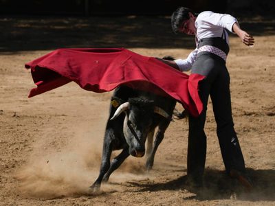 Defensores de corridas se acercan a jóvenes para sumar nuevos seguidores a la tauromaquia en México