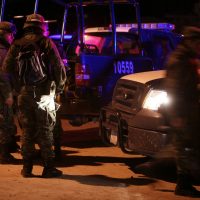 Hallan osamentas en un predio de Guadalupe, Chihuahua
