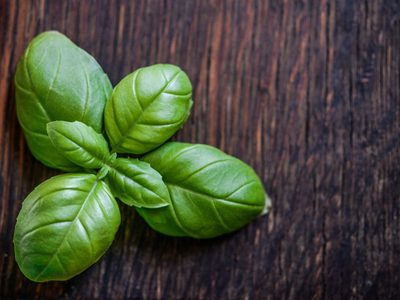 No gastés más: el truco para tener albahaca en casa gratis y sin comprar las semillas