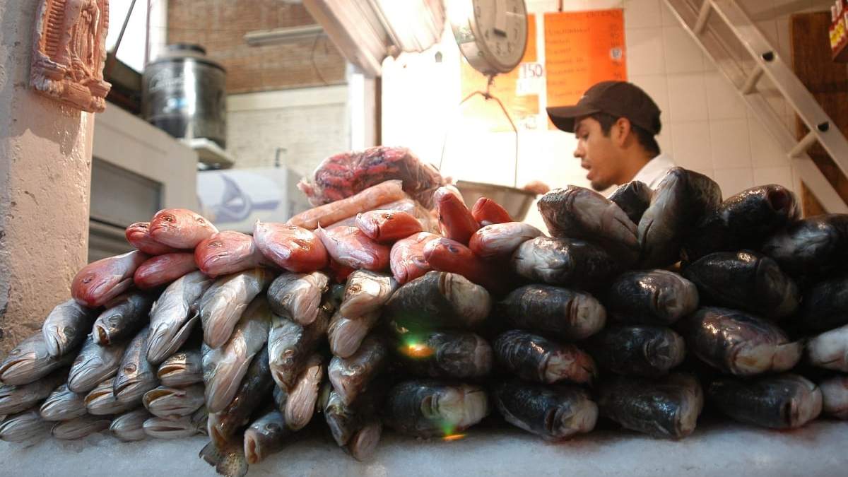 El 44% de los pescados que se venden en pescaderías y restaurantes de algunas ciudades del país son sustituidas por otras especies