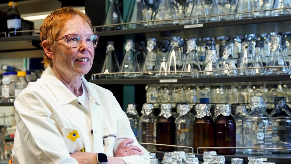 La doctora Nora Disis, directora del Instituto de Vacunas contra el Cáncer del Centro Médico de la Universidad de Washington