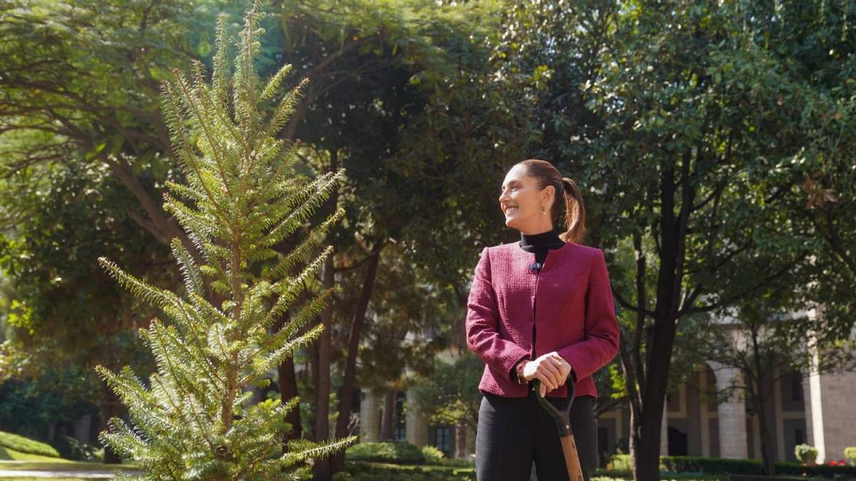 En el video Claudia Sheinbaum aparece sembrando un árbol en los jardines de Palacio Nacional