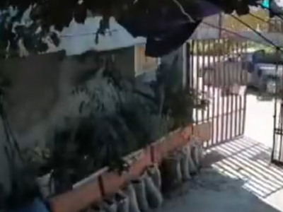 Video: robaron la camioneta a un jubilado en Las Heras y lo arrastraron varios metros