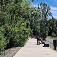 Encontraron un cuerpo en la orilla del Paseo Costero de Neuquén