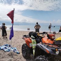 Cierran playas de Puerto Vallarta por la presencia de un cocodrilo