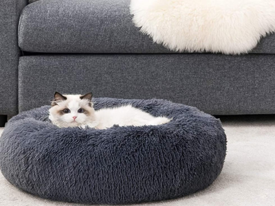 Con ropa que ya no usás y sin gastar ni un centavo, creá esta camita para tu gato
