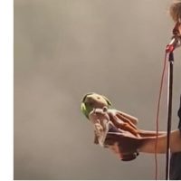 ¿No es el de la farmacia?, pregunta confundido el vocalista de Phoenix al recibir un Chavo del 8