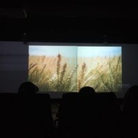 Sala de Cine Zapata, desde un encuadre público