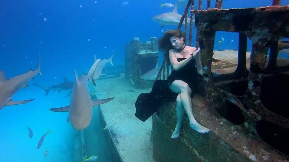 Fotografías bajo el mar