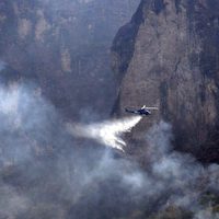 Incendio arrasa 224 hectáreas de bosque y selva en Tepoztlán
