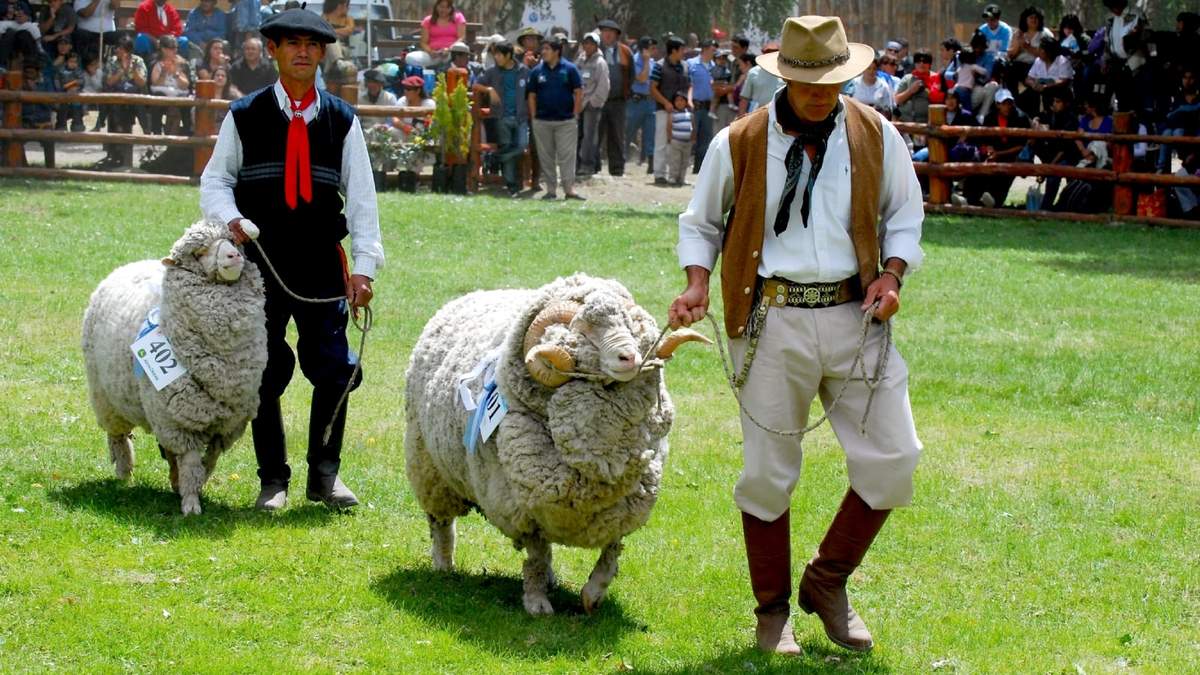 Exposición Rural Bariloche. Fuente: (Twitter)