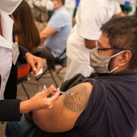 SSA ha aplicado más de 34 millones de vacunas contra enfermedades virales en esta temporada invernal