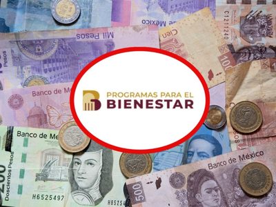 El programa del Bienestar que casi nadie ubica y paga hasta 24 mil pesos